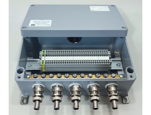 СКМ-05.162609-Ехе-(30/2,5)-(1/2,5)-1(А)/32Е1FX1RA5-5(B)/20S16A2FFC1RAC025-ШЗ