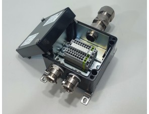 СКП-06.121209-Ехе-(8/2,5)-(1/2,5)-1(А)/25SE1FX1RA5-2(B)/20A2F1RA5-ПЗ